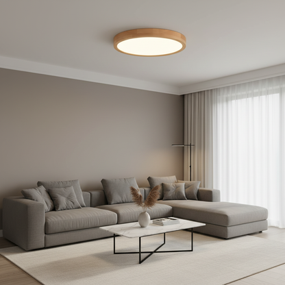 Elegant Round LED Flush Mount Ceiling Light | Home Illumination