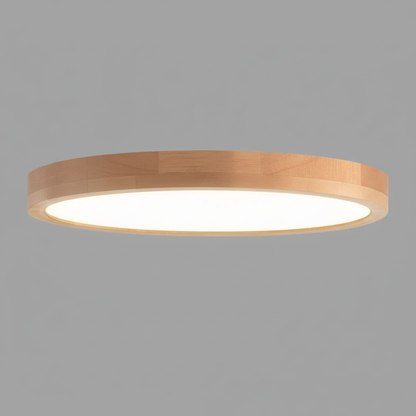 Elegant Round LED Flush Mount Ceiling Light | Home Illumination