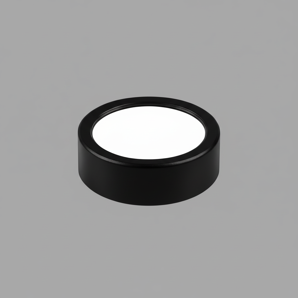 Ultra-Thin LED Ceiling Light | Modern Flush Mount Fixture