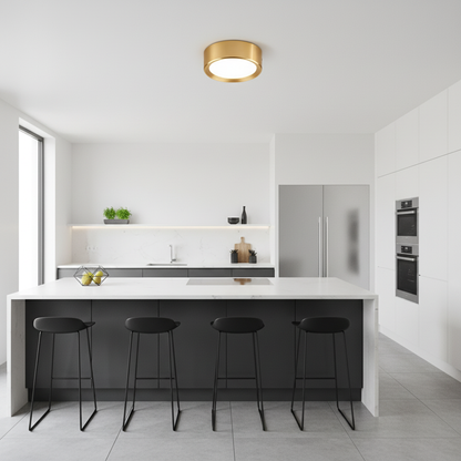 Ultra-Thin LED Ceiling Light | Modern Flush Mount Fixture